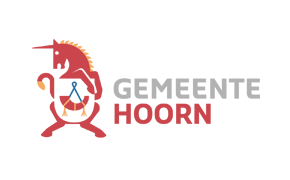 Bericht Directievoerder & toezichthouder infrastructurele projecten - Gemeente Hoorn bekijken
